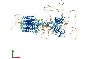 AlphaFold protein structure predicition of Mouse Recombinant Adcy9 Protein, UniprotID P51830