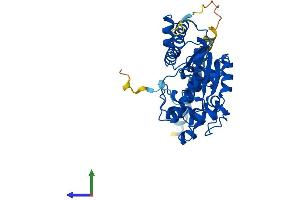 AlphaFold protein structure predicition of Human Recombinant TPST1 Protein, UniprotID O60507