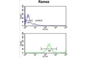 C7 Antibody (Center) flow cytometry analysis of Ramos cells (bottom histogram) compared to a negative control cell (top histogram).