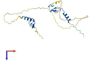 AlphaFold protein structure predicition of Human Recombinant ZFAND5 Protein, UniprotID O76080