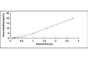 Typical standard curve (CYP2C9 Kit ELISA)