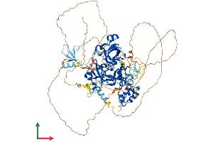 AlphaFold protein structure predicition of Mouse Recombinant L3mbtl3 Protein, UniprotID Q8BLB7