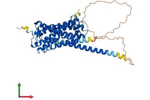 AlphaFold protein structure predicition of Human Recombinant GPR84 Protein, UniprotID Q9NQS5