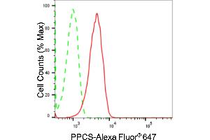 Flow cytometric analysis of PPCS expression in HepG2 cells using PPCS antibody (ABIN7799830), 1:2,000). (Recombinant PPCS anticorps)