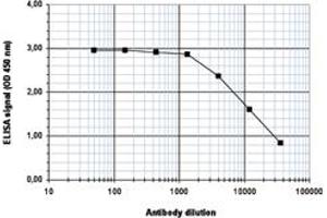 ELISA is a quantitative method used to determine the titer of the antibody using a serial dilution of antibody against Histone H4 (K5,8,12ac) in antigen coated wells. (HIST1H4A anticorps  (acLys5, acLys8, acLys12))