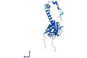 AlphaFold protein structure predicition of Mouse Recombinant Tbcb Protein, UniprotID Q9D1E6