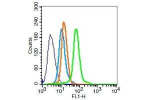 Hela cells probed with TGF alpha Polyclonal Antibody, Unconjugated  for 30 minutes followed by incubation with a conjugated secondary (FITC conjugated) (green) for 30 minutes compared to control cells (blue), secondary only (light blue) and isotype control (orange).
