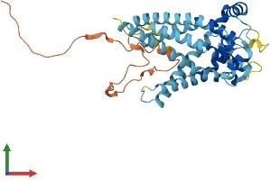 AlphaFold protein structure predicition of Mouse Recombinant Slc25a28 Protein, UniprotID Q8R0Z5