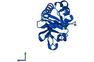 AlphaFold protein structure predicition of Mouse Recombinant Mcts1 Protein, UniprotID Q9DB27