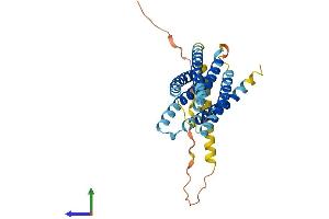 AlphaFold protein structure predicition of Human Recombinant TMEM163 Protein, UniprotID Q8TC26