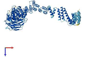 AlphaFold protein structure predicition of Human Recombinant VPS16 Protein, UniprotID Q9H269