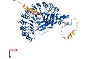 AlphaFold protein structure predicition of Mouse Recombinant Fbxl4 Protein, UniprotID Q8BH70