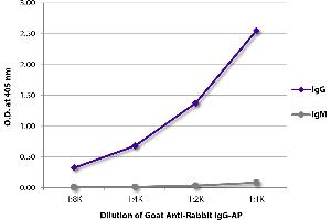 ELISA plate was coated with purified rabbit IgG and IgM. (Chèvre anti-Lapin IgG (Heavy Chain) Anticorps (Alkaline Phosphatase (AP)))