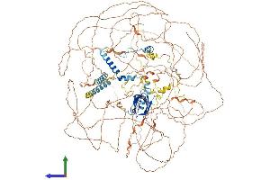 AlphaFold protein structure predicition of Human Recombinant ATXN2 Protein, UniprotID Q99700