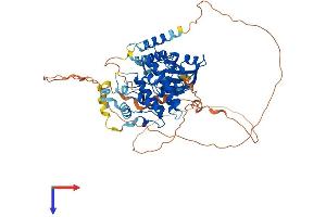 AlphaFold protein structure predicition of Mouse Recombinant Mapk15 Protein, UniprotID Q80Y86