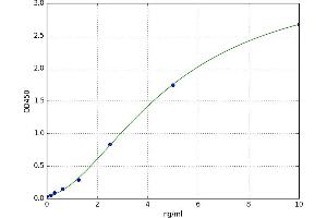 A typical standard curve (RYR1 Kit ELISA)