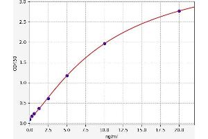 Typical standard curve (NFkB Kit ELISA)