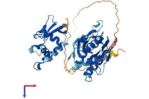 AlphaFold protein structure predicition of Mouse Recombinant Irf3 Protein, UniprotID P70671