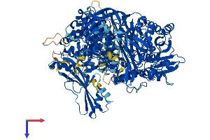 AlphaFold protein structure predicition of Mouse Recombinant Pfas Protein, UniprotID Q5SUR0