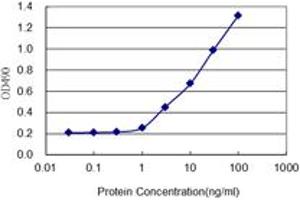 GYG2 (Human) Matched Antibody Pair