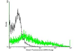 FACS analysis of negative control 293 cells (Black) and GPR56 expressing 293 cells (Green) using GPR56 purified MaxPab mouse polyclonal antibody.