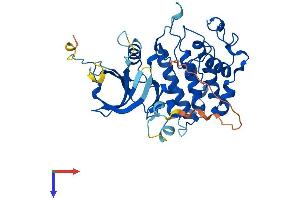 AlphaFold protein structure predicition of Human Recombinant CDK9 Protein, UniprotID P50750
