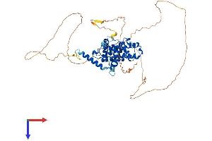 AlphaFold protein structure predicition of Mouse Recombinant Ccnl1 Protein, UniprotID Q52KE7