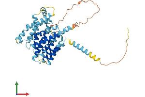 AlphaFold protein structure predicition of Mouse Recombinant Slc35f3 Protein, UniprotID Q1LZI2
