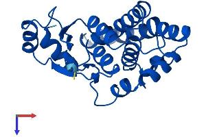 AlphaFold protein structure predicition of Mouse Recombinant Gsta4 Protein, UniprotID P24472
