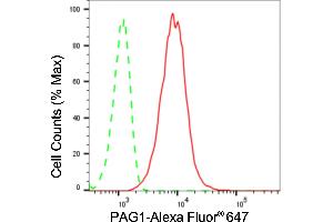 Flow cytometric analysis of PAG1 expression in HT- cells using PAG1 antibody (ABIN7799831), 1:2,000). (Recombinant PAG1 anticorps)