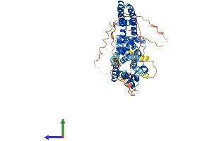 AlphaFold protein structure predicition of Human Recombinant KCNA6 Protein, UniprotID P17658