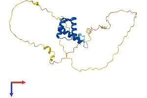 AlphaFold protein structure predicition of Human Recombinant NKX2-8 Protein, UniprotID O15522