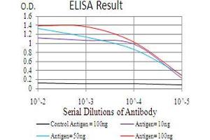 Black line: Control Antigen (100 ng), Purple line: Antigen(10 ng), Blue line: Antigen (50 ng), Red line: Antigen (100 ng), (Neuropilin 1 anticorps  (AA 45-59))