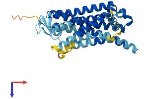 AlphaFold protein structure predicition of Human Recombinant OR1F1 Protein, UniprotID O43749