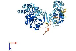 AlphaFold protein structure predicition of Mouse Recombinant Lpcat4 Protein, UniprotID Q6NVG1