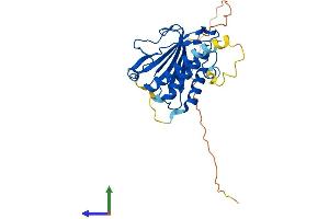 AlphaFold protein structure predicition of Human Recombinant MAD2L1BP Protein, UniprotID Q15013