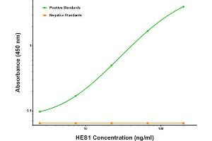 ELISA image for anti-Hes Family bHLH Transcription Factor 1 (HES1) antibody (ABIN2722654)