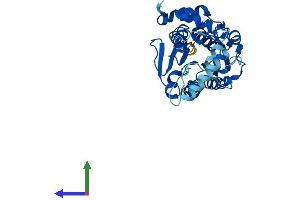 AlphaFold protein structure predicition of Mouse Recombinant Nsdhl Protein, UniprotID Q9R1J0