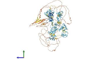 AlphaFold protein structure predicition of Human Recombinant PRDM10 Protein, UniprotID Q9NQV6