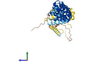 AlphaFold protein structure predicition of Mouse Recombinant Armcx3 Protein, UniprotID Q8BHS6