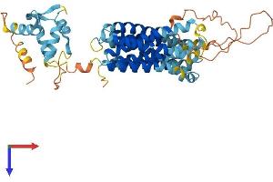 AlphaFold protein structure predicition of Mouse Recombinant Slc39a8 Protein, UniprotID Q91W10