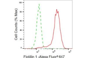 Flow cytometric analysis of Flotillin 1 expression in HepG2 cells using Flotillin 1 antibody (ABIN7798633), 1:2,000).