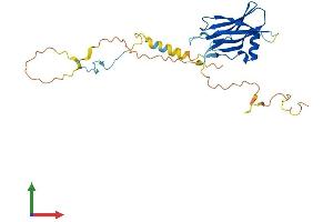 AlphaFold protein structure predicition of Mouse Recombinant Ppp1r3b Protein, UniprotID Q8C767