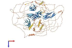 AlphaFold protein structure predicition of Mouse Recombinant Palld Protein, UniprotID Q9ET54