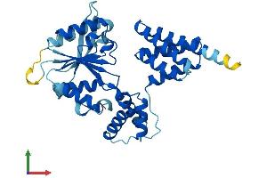 AlphaFold protein structure predicition of Mouse Recombinant Rfc3 Protein, UniprotID Q8R323