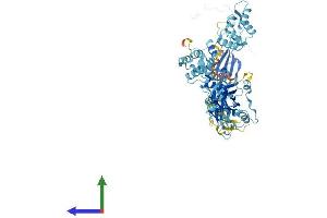 AlphaFold protein structure predicition of Mouse Recombinant Efhc2 Protein, UniprotID Q9D485