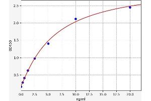 Typical standard curve (SDC4 Kit ELISA)