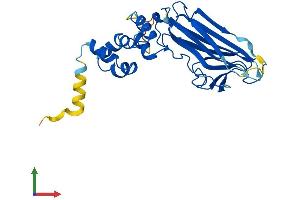 AlphaFold protein structure predicition of Mouse Recombinant Fbxo17 Protein, UniprotID Q9QZM8