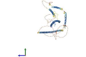 AlphaFold protein structure predicition of Mouse Recombinant Ssx2ip Protein, UniprotID Q8VC66