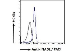 ABIN185139 Flow cytometric analysis of paraformaldehyde fixed A431 cells (blue line), permeabilized with 0. (PATJ anticorps  (N-Term))